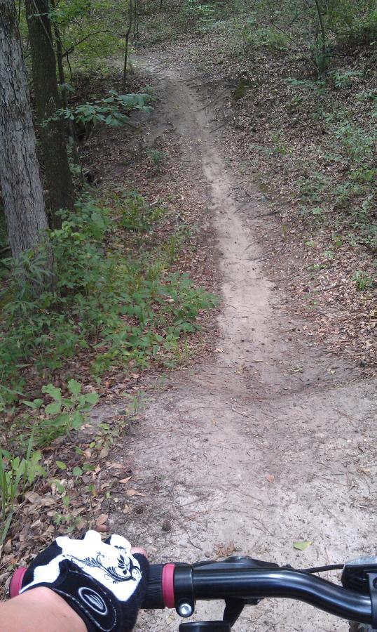 A cyclist's view of a winding dirt trail in a wooded area, with tall trees and greenery on either side. The cyclist's hand is visible on the handlebars, wearing a black and white glove. Leaves and pine needles cover the ground along the path. L.H. Thomson Trails mountain bike trail.