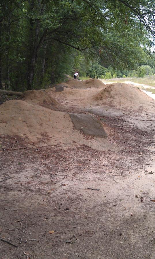 A dirt path leads through a wooded area, with several small dirt mounds along the side. Soft soil is visible, surrounded by pine needles and leaves, while trees provide shade in the background. A person can be seen in the distance near the mounds. L.H. Thomson Trails mountain bike trail.