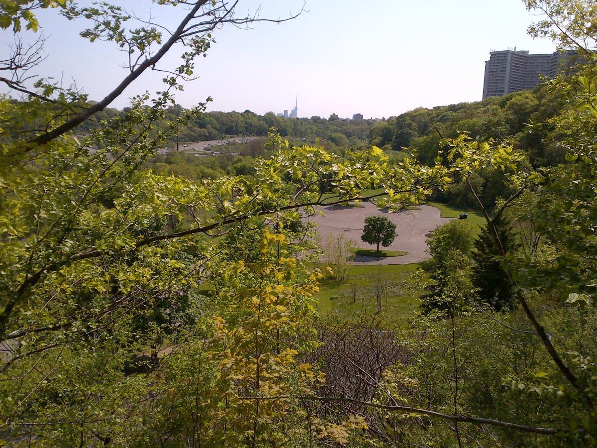 A scenic view of a park surrounded by lush greenery, with a glimpse of a city skyline in the background. The foreground features vibrant leaves and branches, while an open parking area is visible below, framed by trees. The sky is clear, indicating a bright, sunny day. Don Valley mountain bike trail.