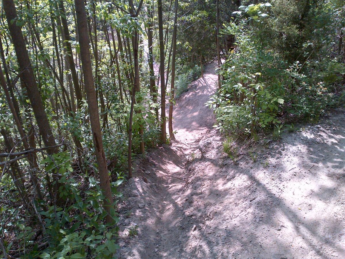 A narrow dirt path winding through a lush green forest, flanked by young trees and shrubs. The trail appears well-trodden, with sunlight filtering through the leaves, creating a peaceful and natural atmosphere. Don Valley mountain bike trail.