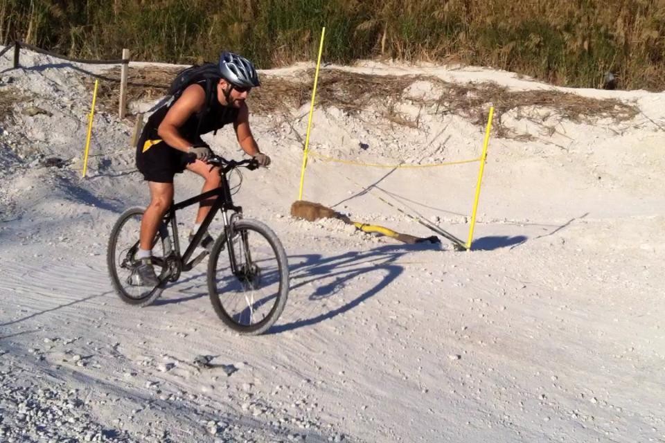 A cyclist wearing a helmet and a backpack rides a mountain bike on a gravel trail surrounded by tall grass and yellow markers indicating a course. The path is sandy, suggesting an outdoor biking environment. Virginia Key North Point mountain bike trail.