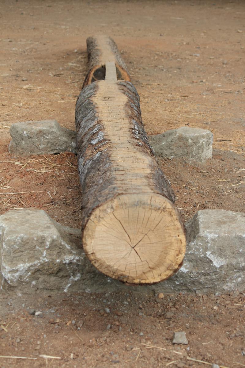 A long, partially bark-covered log resting on two concrete supports, placed on a dirt surface. The log features a smooth, cut end revealing its grain pattern, while the surrounding area shows some loose dirt and small stones. Belle Isle mountain bike trail.
