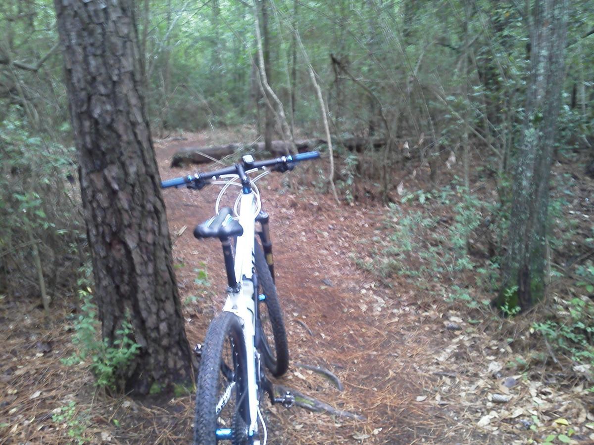 A mountain bike parked on a dirt trail surrounded by dense greenery and tall trees, with a mix of pine needles and leaves on the ground. The scene conveys a peaceful outdoor setting ideal for biking or exploring nature. Children's Home / Pig Trail mountain bike trail.