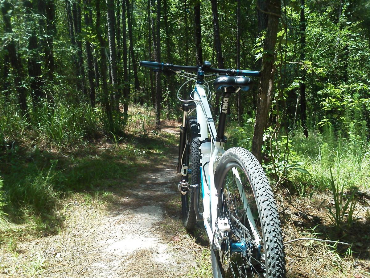 A mountain bike parked on a narrow dirt trail surrounded by lush greenery and tall trees. Sunlight filters through the leaves, creating a bright and inviting atmosphere in a forested area. Arrowhead Park mountain bike trail.