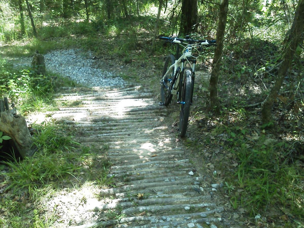 A mountain bike resting on a wooden pathway in a wooded area, surrounded by greenery and sunlight filtering through the trees. The path features logs arranged in a row with gravel near the background, leading deeper into the forest. Arrowhead Park mountain bike trail.