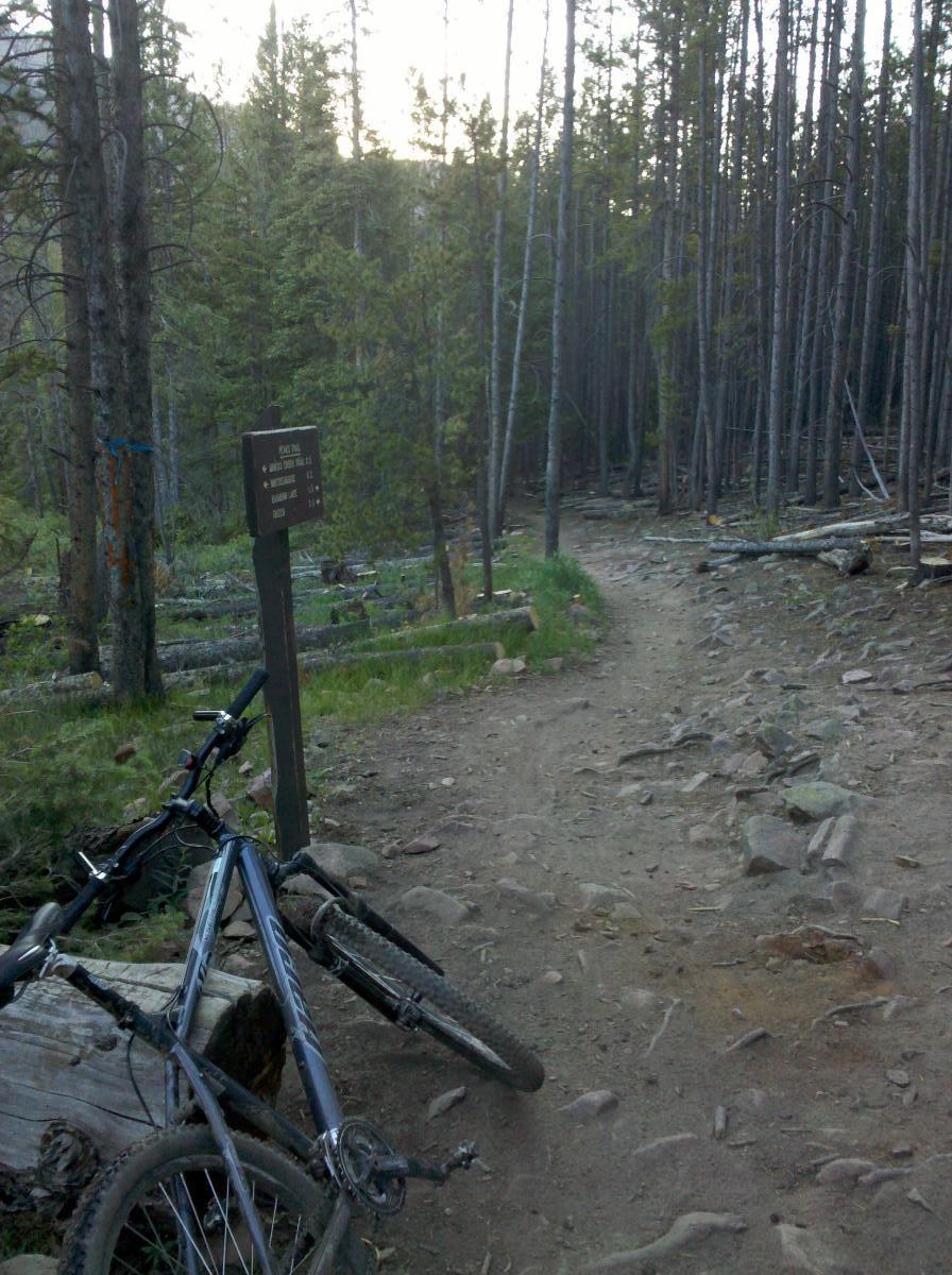 A mountain bike resting against a log on a dirt trail surrounded by tall pine trees. A trail sign stands nearby, indicating distances to various locations. The scene captures the serene atmosphere of a forested area, with a rocky, uneven path leading into the woods. Peaks Trail mountain bike trail.