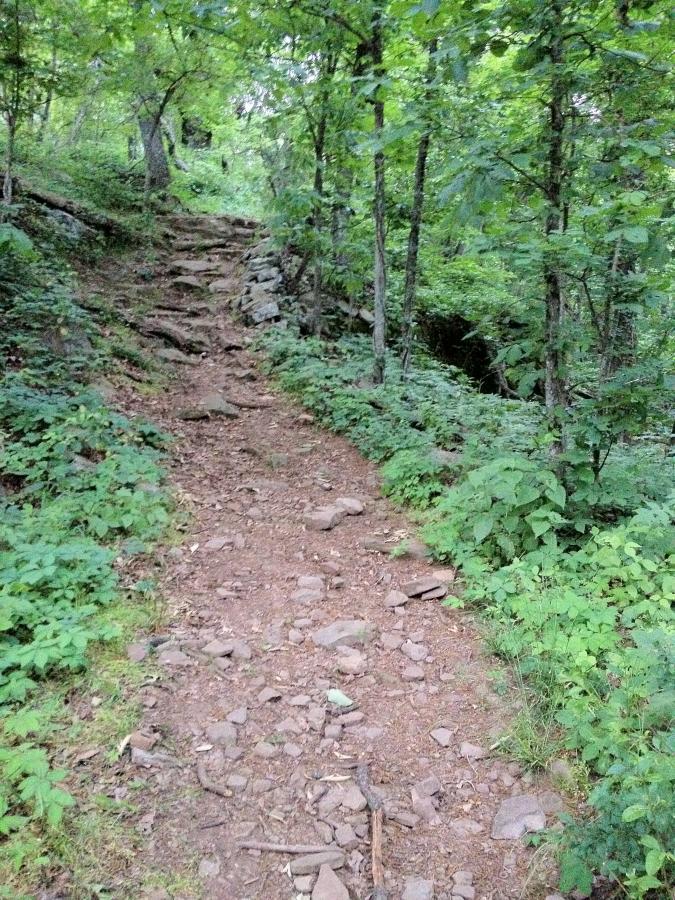 A rocky hiking trail winding through a lush green forest, surrounded by trees and underbrush. The path is moderately steep and partially covered with small stones, leading further into the wilderness. Monte Sano State Park &amp; Land Trust mountain bike trail.