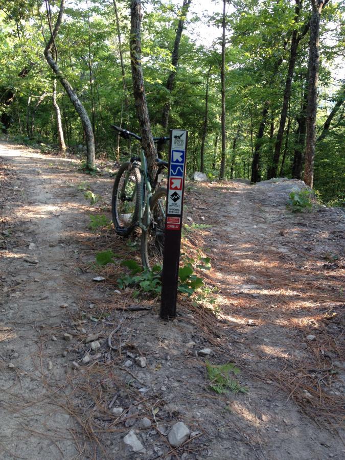 A mountain bike leaning against a trail marker in a wooded area. The trail marker features directional arrows indicating different paths, surrounded by lush greenery and a dirt trail with scattered rocks and pine needles. Coldwater Mountain mountain bike trail.