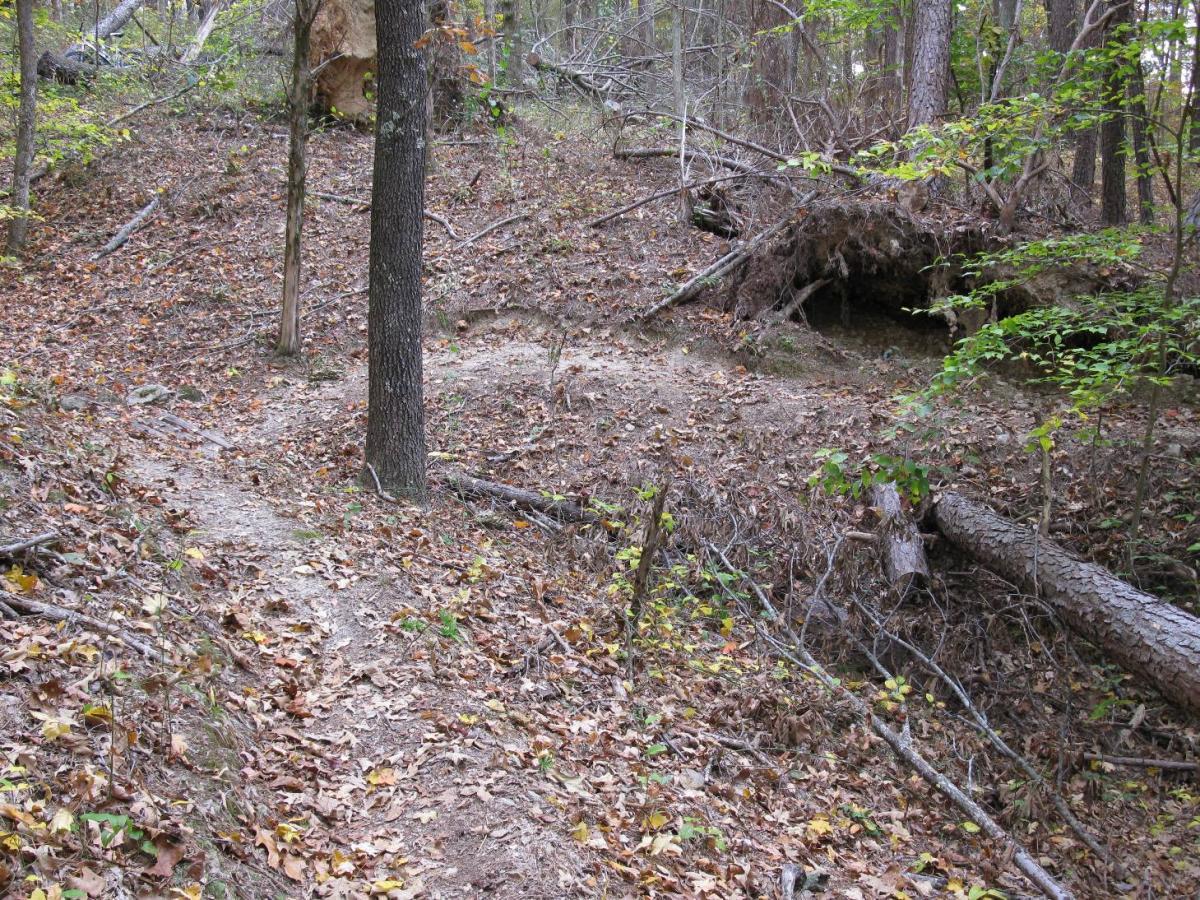 A dirt path winding through a wooded area covered with fallen leaves, surrounded by trees and small shrubs. Some fallen branches and an uprooted tree are visible, adding to the natural scenery. Montgomery Bell State Park Mtb Trail mountain bike trail.