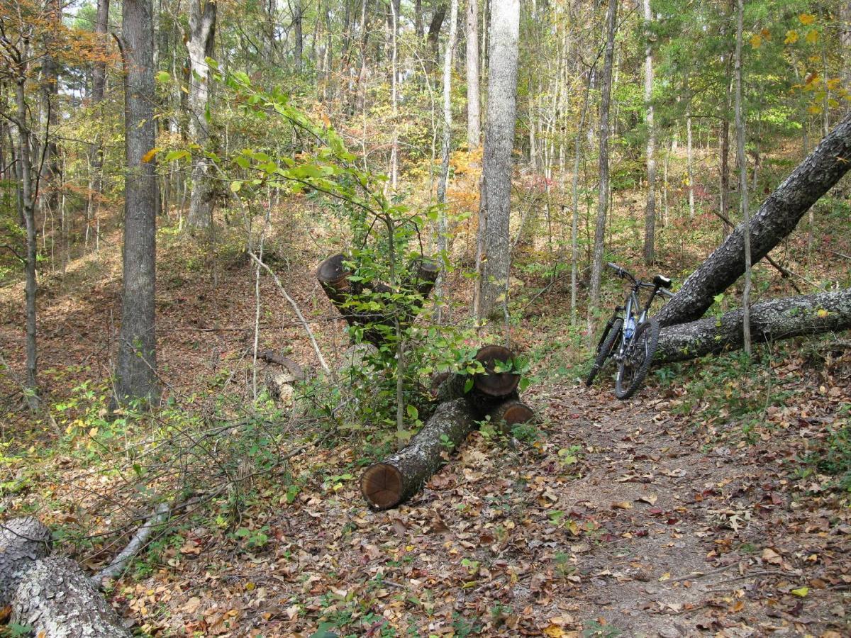 A mountain bike rests against a fallen log on a dirt path surrounded by trees in a wooded area, with autumn foliage and scattered leaves covering the ground. Montgomery Bell State Park Mtb Trail mountain bike trail.