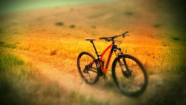 A mountain bike parked on a dirt trail surrounded by golden grass, with rolling hills in the background under a soft, blurred sky. Green Mountain mountain bike trail.