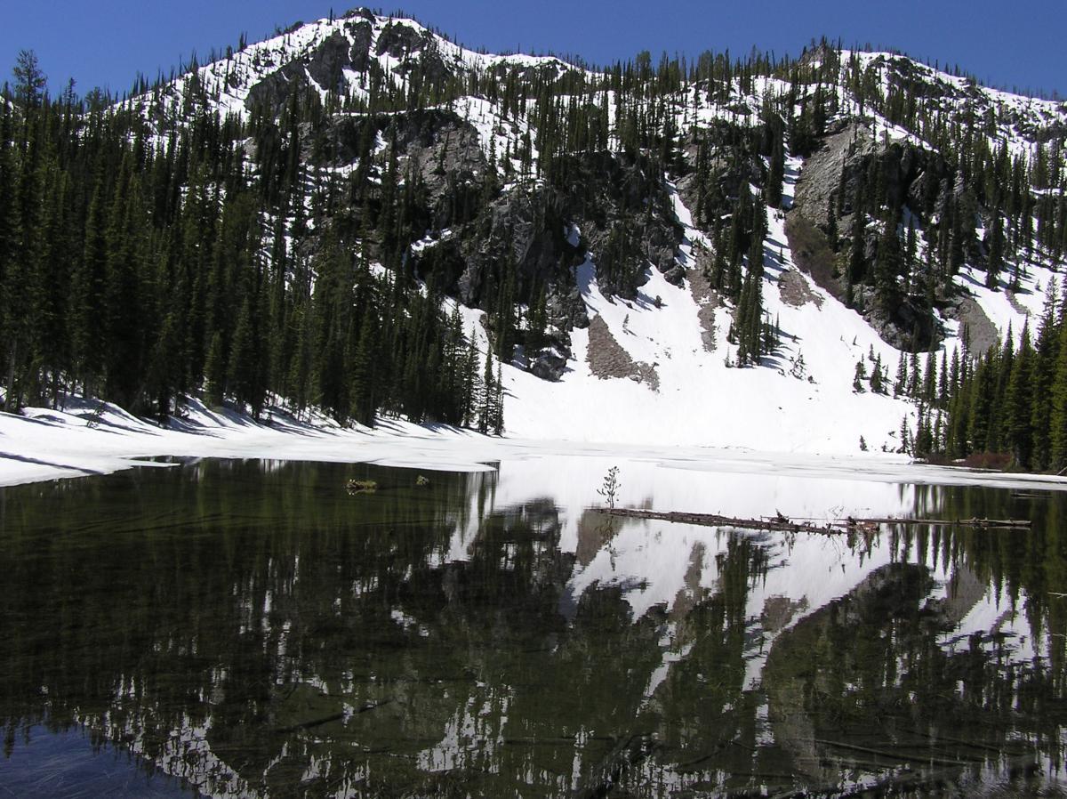 Trap Creek Swamp Creek Loop Mountain Bike Trail in Stanley, Idaho