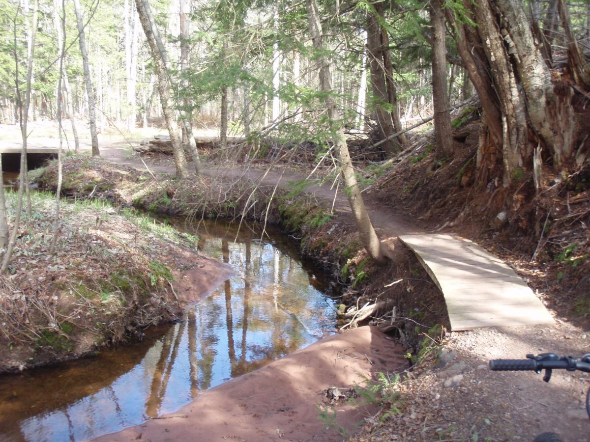 A serene forest scene featuring a narrow stream flowing through a wooded area. A wooden footbridge crosses over the stream, with a dirt path winding along the water's edge. Tall trees with green foliage frame the scene, and reflections from the trees dance on the water's surface. Soft earth and patches of grass are visible along the banks of the stream. Michigan Tech Trails mountain bike trail.