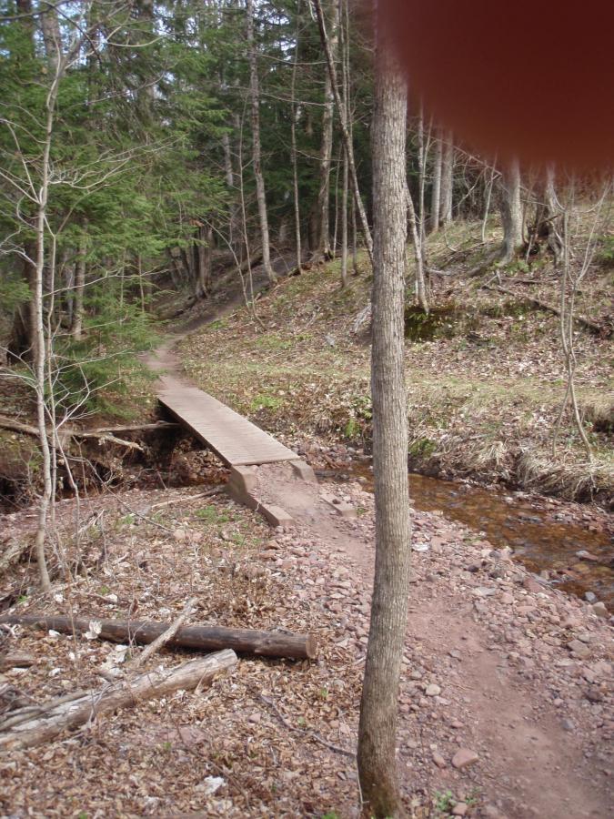 A wooden bridge crossing a small creek in a forest, surrounded by trees and undergrowth, with fallen logs and earthy ground visible. The path leads into the woods, showing a serene natural setting. Michigan Tech Trails mountain bike trail.
