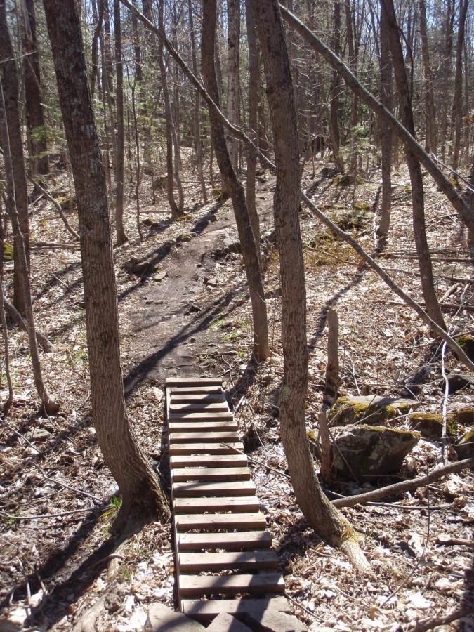 A narrow wooden bridge crossing a small path in a forest, surrounded by bare trees and scattered leaves on the ground, indicating early spring or late fall. The scene is peaceful and natural, with sunlight filtering through the branches. Michigan Tech Trails mountain bike trail.