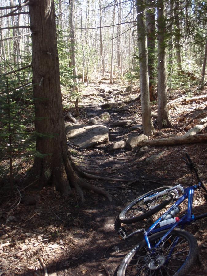 Alt text: A mountain bike lies on its side near a rocky forest trail. The path is surrounded by trees and consists of uneven ground with rocks and exposed roots, indicating a rugged hiking or biking environment. Michigan Tech Trails mountain bike trail.