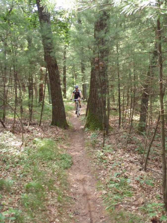 A mountain biker riding along a narrow dirt trail through a forest, surrounded by tall trees and greenery. The sunlight filters through the canopy, creating a peaceful outdoor scene. Hartman Creek State Park mountain bike trail.