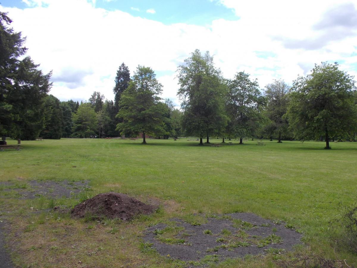 A serene park scene featuring a grassy field surrounded by various trees under a partly cloudy sky. The area shows a few picnic tables in the distance and patches of bare ground, indicating a well-used recreational space. Elijiah Bristow State Park mountain bike trail.