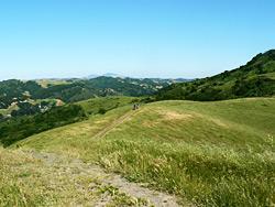 A scenic view of rolling green hills under a clear blue sky, with a trail winding through the grass and two hikers in the distance. The landscape features gentle slopes and patches of trees, creating a peaceful natural setting. Wildcat Canyon Regional Park mountain bike trail.