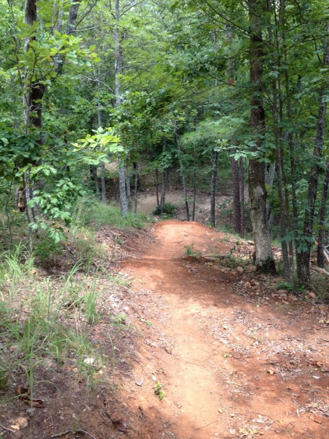 A winding dirt path surrounded by lush greenery and trees, leading down through a forested area. The trail is slightly inclined and bordered by grass and small plants, creating a natural, serene atmosphere. Coldwater Mountain mountain bike trail.