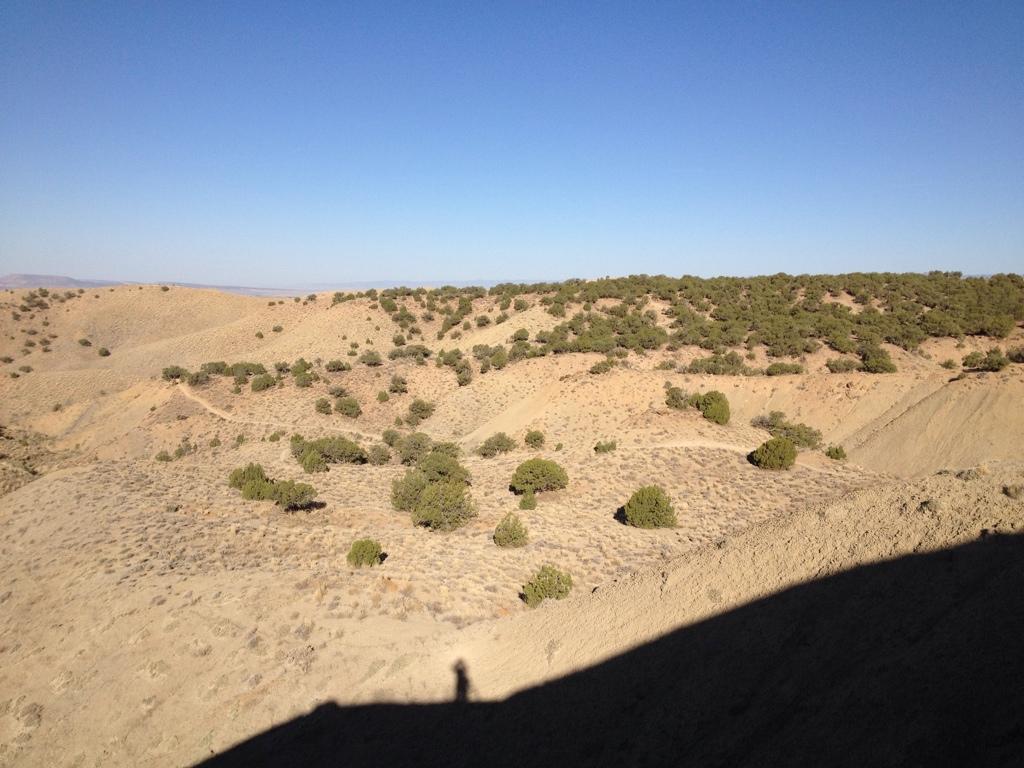 A vast arid landscape featuring rolling hills and sparse vegetation under a clear blue sky. The terrain is primarily sandy with scattered shrubs, creating a natural, rugged appearance. A distant hillside is visible on the horizon, enhancing the sense of depth in the scene. A faint shadow is visible in the foreground, suggesting the presence of a nearby object or person. Zippety Do Dah mountain bike trail.