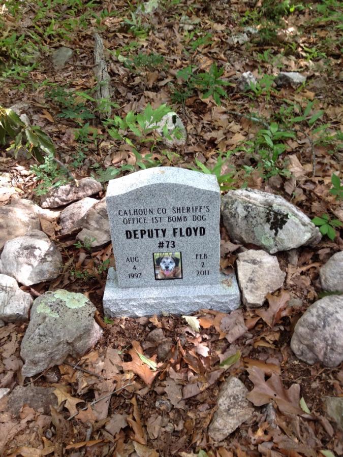 A granite memorial stone marking the grave of Deputy Floyd, the first bomb dog of the Calhoun County Sheriff's Office. The stone features an engraved image of Deputy Floyd, along with the dates August 4, 1997, and February 2, 2011. Surrounding the stone are rocks and a natural forest floor with leaves and grass. Coldwater Mountain mountain bike trail.