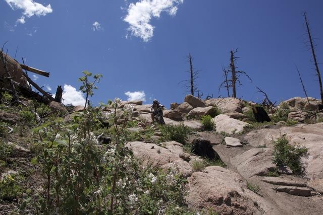 A rocky hillside with patches of green vegetation, including flowers, under a bright blue sky with scattered clouds. In the foreground, a person is climbing among the boulders, surrounded by trees that appear to have been affected by a fire. Blackjack / Raspberry Ridge mountain bike trail.