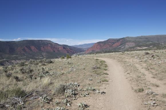 A winding dirt path leads through a grassy landscape with sparse vegetation, bordered by cacti. In the background, dramatic red rock formations rise against a clear blue sky, with distant mountains visible. The scene conveys a sense of tranquility and the natural beauty of a rugged terrain. The Boneyard mountain bike trail.