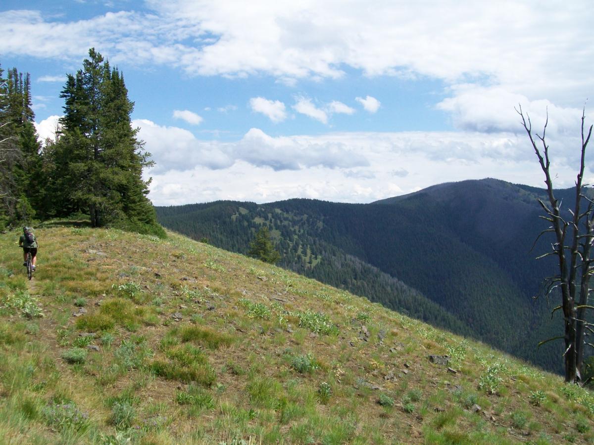 A person hiking along a grassy trail on a hillside, surrounded by pine trees and rolling mountains under a partly cloudy sky. Continental Divide To 3 Mile Ridge mountain bike trail.