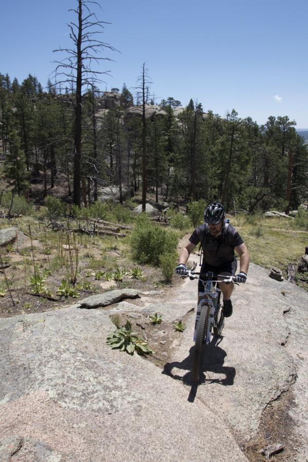A mountain biker navigating a rocky trail in a forested area. The rider is wearing a helmet and is focused on the path ahead. Surrounding the trail are green trees and sparse vegetation under a clear blue sky. Buffalo Creek mountain bike trail.