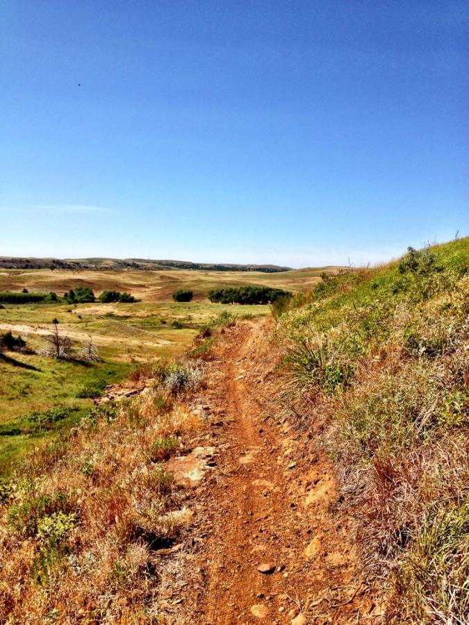 A winding dirt path leads through a grassy landscape under a clear blue sky, with rolling hills and patches of trees visible in the distance. The scene captures a tranquil outdoor setting, showcasing the natural beauty of the countryside. Switchgrass mountain bike trail.