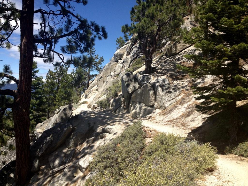 A narrow dirt path winding through a rocky terrain, flanked by tall pine trees. Sunlight filters through the branches, casting shadows on the ground, with shrubs and boulders visible along the trail. The scene captures a peaceful and natural outdoor landscape. Flume Trail mountain bike trail.