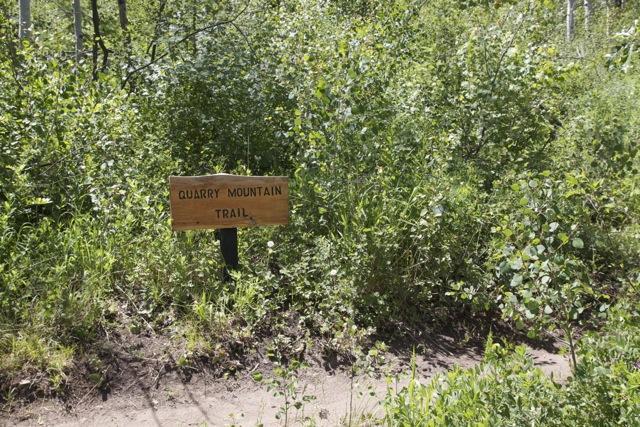 Wooden sign marking the entrance to Quarry Mountain Trail, surrounded by lush green vegetation and trees. Emerald Mountain mountain bike trail.