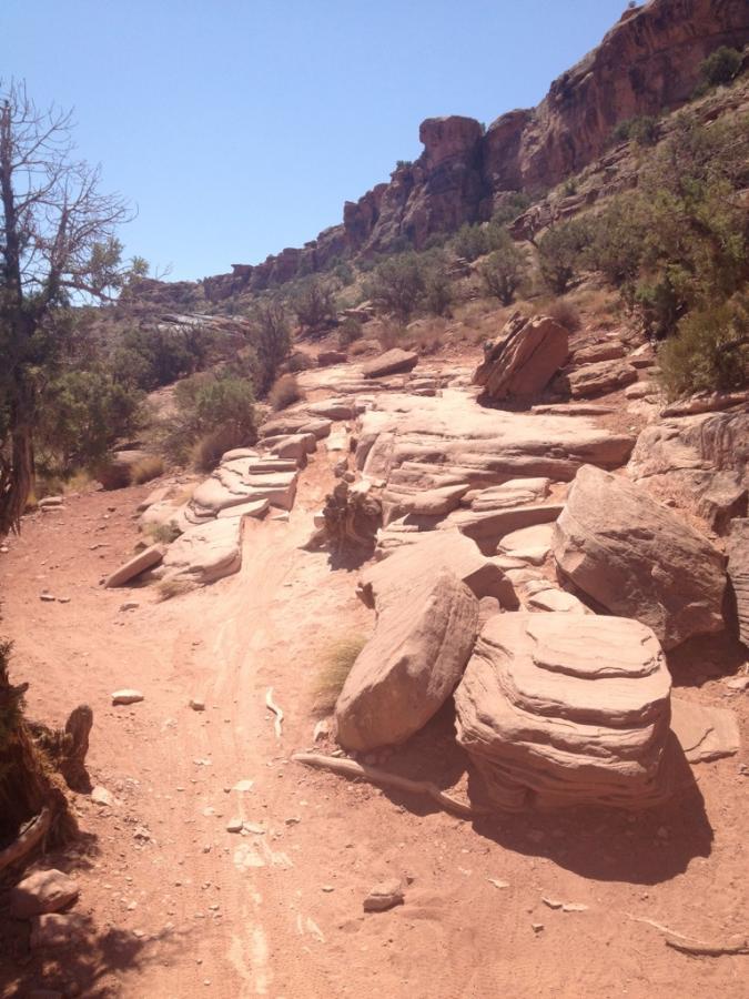 A sunlit dirt trail winding through a rugged landscape, featuring large, flat boulders and sparse vegetation. Rocky cliffs rise in the background under a clear blue sky. Porcupine Rim mountain bike trail.