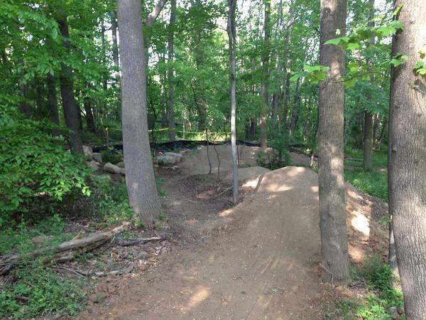 A dirt bike jump surrounded by a dense forest, featuring tall trees and lush greenery. The path leading to the jump is clear, with some rocks and fallen branches visible on the ground. A section of the area has been prepared with black fabric, possibly for erosion control. Rockburn Skills Park mountain bike trail.