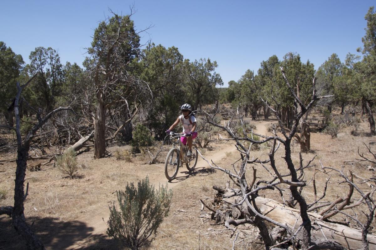 A person riding a mountain bike on a dirt trail through a wooded area, surrounded by dry vegetation and trees. The scene is set under a clear blue sky. Phil's World mountain bike trail.