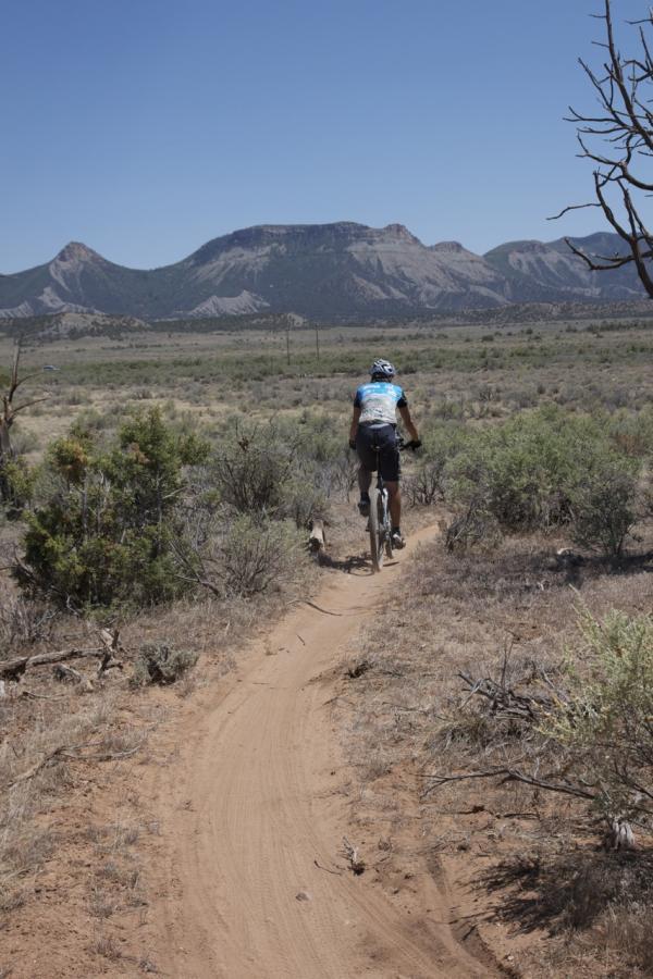 A mountain biker riding on a dirt trail through a sparse landscape, with mountains in the background under a clear blue sky. A small dog is following closely behind the cyclist. Phil's World mountain bike trail.