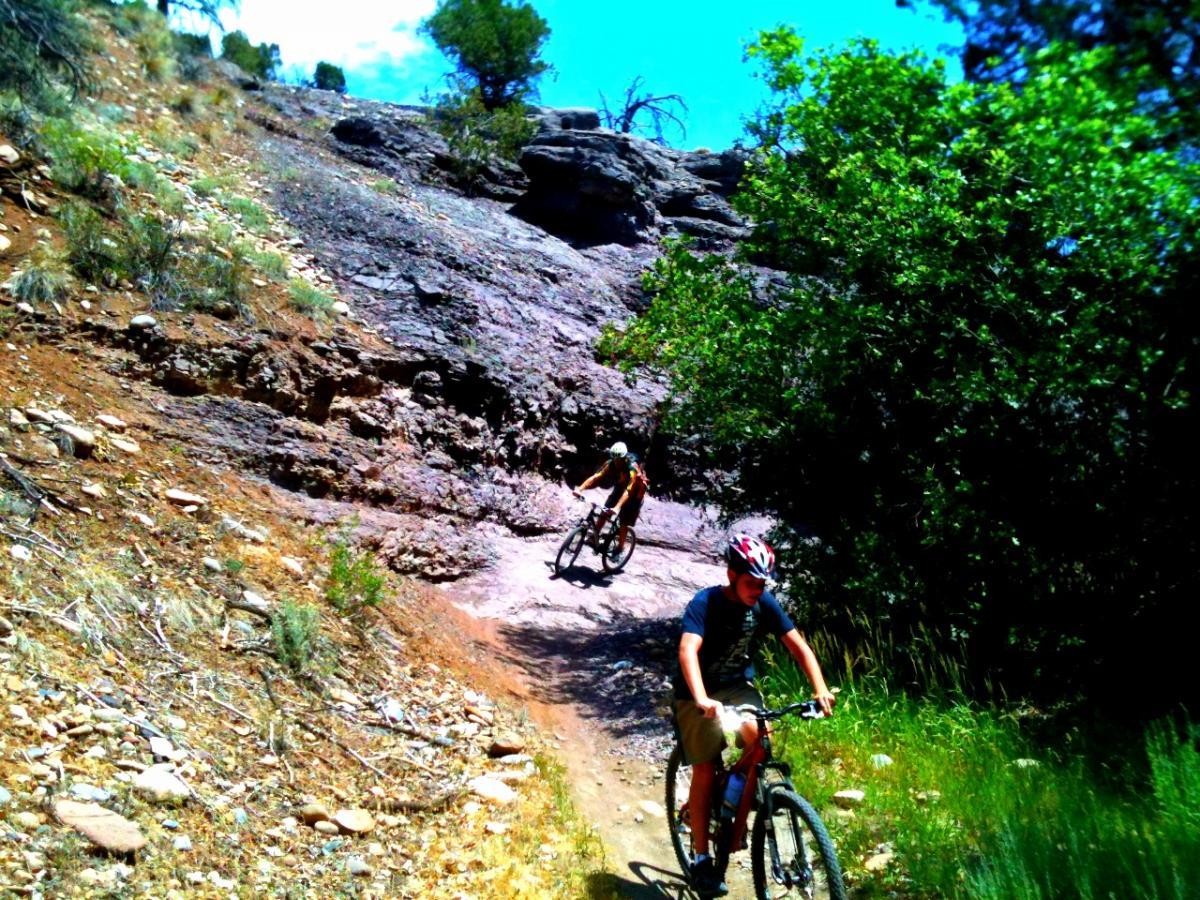 Two cyclists navigate a rocky, winding trail in a green forested area. The sun is shining, illuminating the landscape, with shrubs and trees lining the path. One rider is slightly ahead, while the other follows closely behind. Big Canyon mountain bike trail.