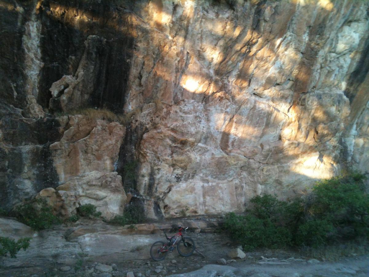 A mountain bike leaning against a rocky cliff face, surrounded by sparse vegetation and sunlight casting shadows on the rock surface. Dalla Mountain Park mountain bike trail.