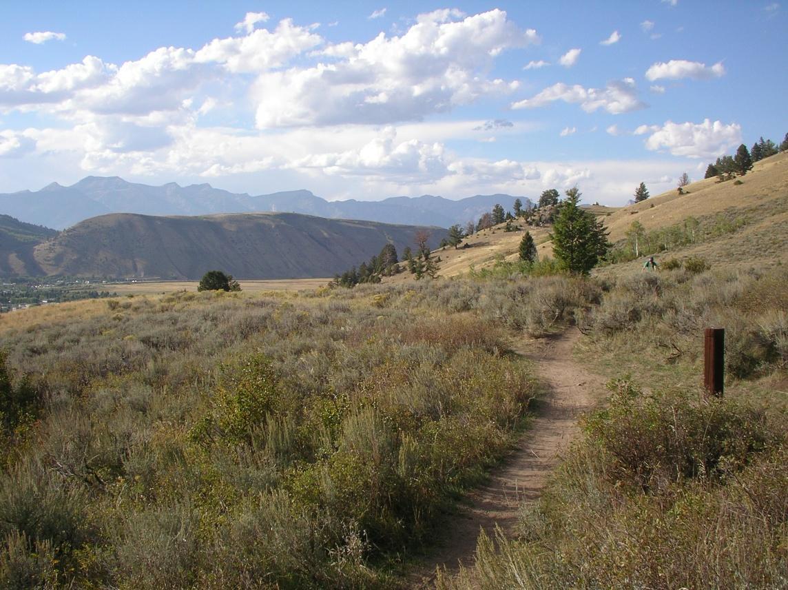 A scenic view of a winding dirt trail through a grassy landscape, surrounded by shrubbery and sparse trees. In the background, rolling hills and mountains rise under a blue sky with scattered clouds. The foreground shows vibrant greenery and earthy tones, inviting exploration in a serene natural setting. Snow King Mountain mountain bike trail.