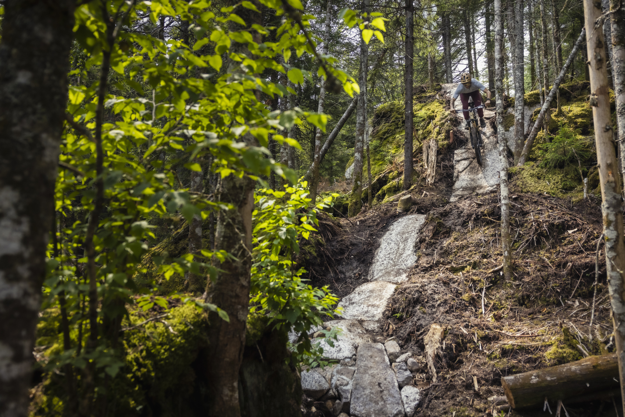 A mountain biker navigates a rocky downhill trail surrounded by trees and foliage in a wooded setting. The ground is a mix of dirt, rocks, and moss, highlighting the rugged terrain. Sentiers Du Moulin mountain bike trail.