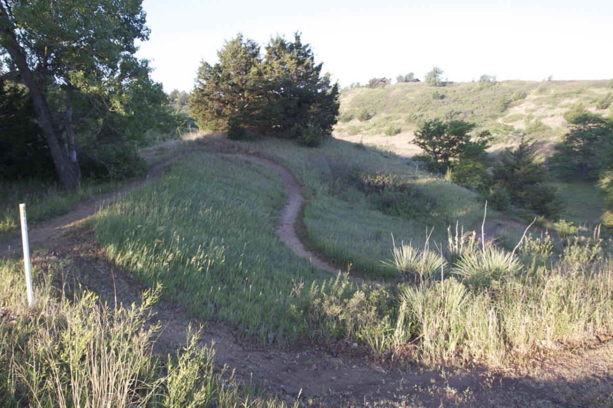 A winding dirt path curves through grassy hills, surrounded by patches of trees and shrubbery under a clear sky. Switchgrass mountain bike trail.