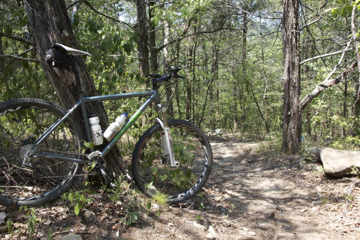 A mountain bike resting against a tree in a wooded area, with a water bottle attached to the frame. A dirt trail winds through the trees in the background, featuring patches of sunlight filtering through the leaves. Syllamo Trails mountain bike trail.