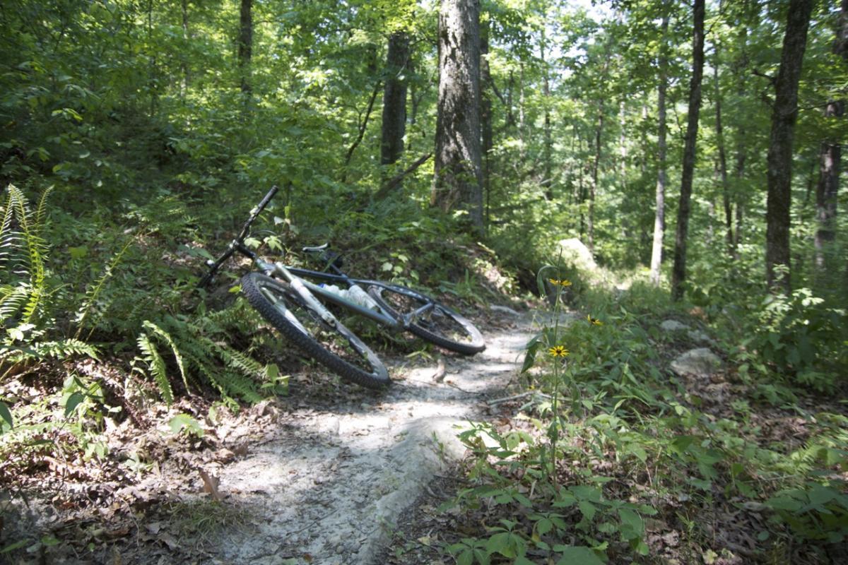 A mountain bike resting on a dirt trail surrounded by lush green foliage and ferns in a wooded area. Syllamo Trails mountain bike trail.
