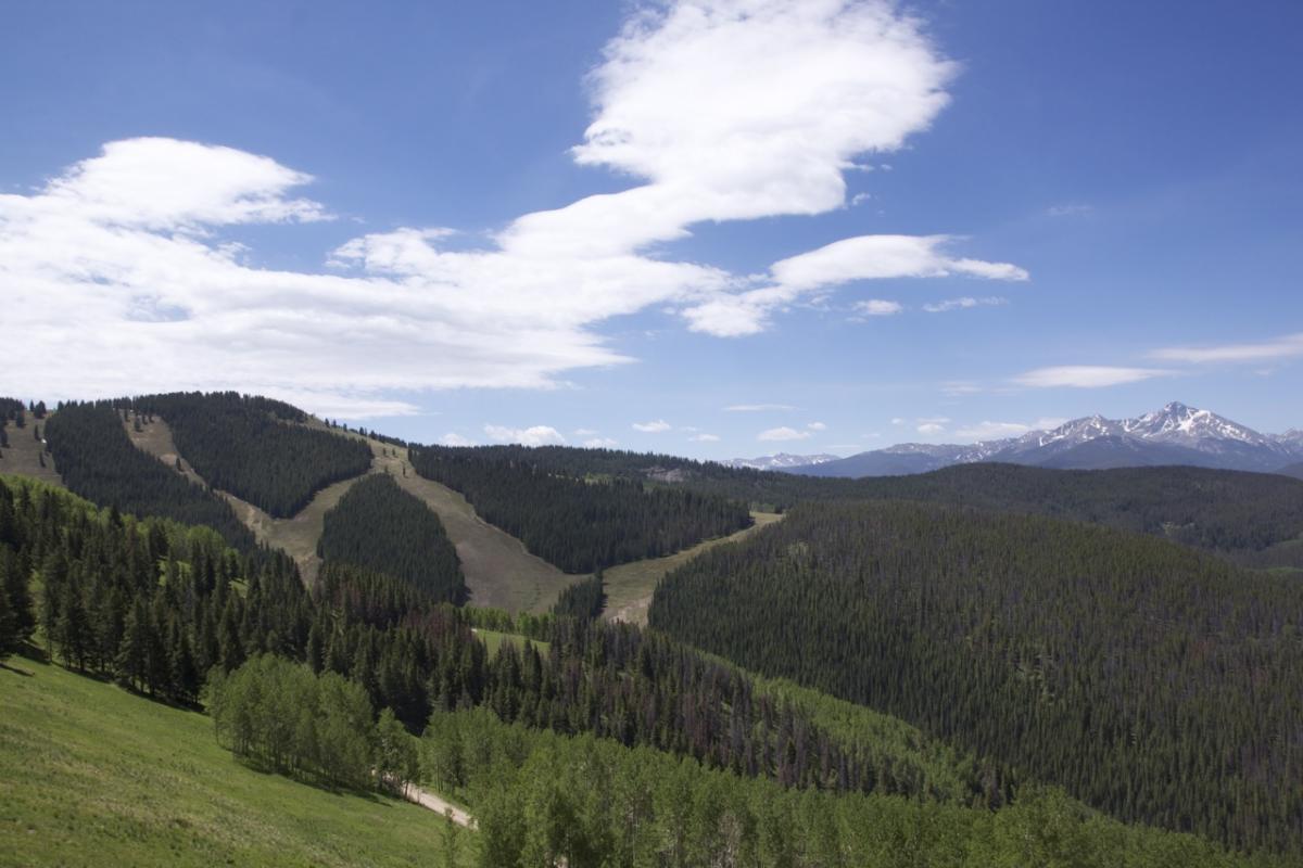 A panoramic view of rolling hills covered in lush green trees, with patches of clear earth revealing ski slopes. In the background, a range of snow-capped mountains rises against a blue sky dotted with white clouds. A winding dirt path runs through the foreground, enhancing the natural landscape. Vail Mountain Bike Park mountain bike trail.