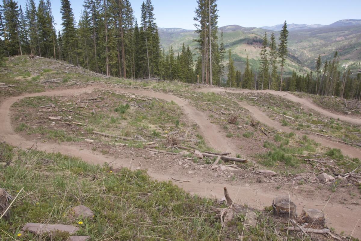 A winding dirt trail through a mountainous forest, surrounded by tall pine trees and rolling hills in the background. The trail is freshly packed and meanders through an area with some fallen logs and sparse vegetation. Vail Mountain Bike Park mountain bike trail.