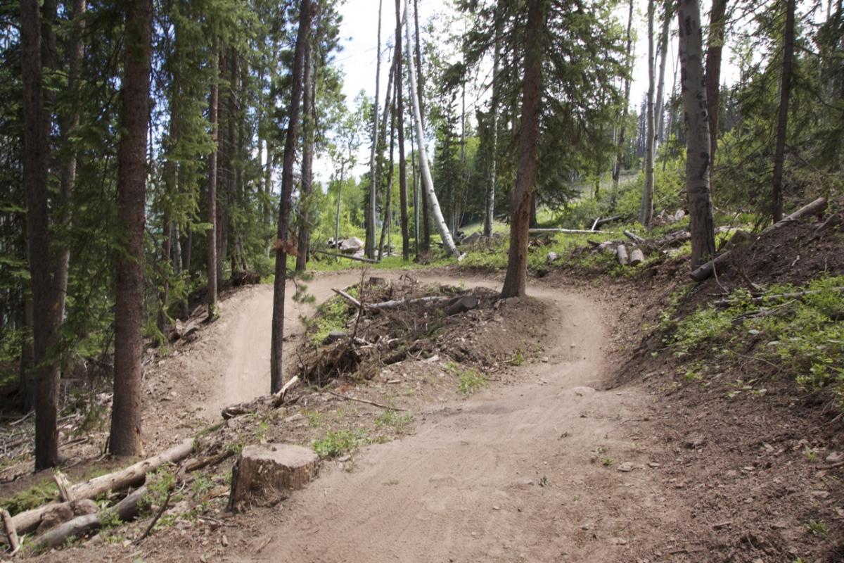 A winding dirt trail surrounded by tall trees in a forested area. The path curves gently, with patches of exposed earth and scattered logs along its edges. Sunlight filters through the leaves, creating a natural, serene atmosphere. Vail Mountain Bike Park mountain bike trail.