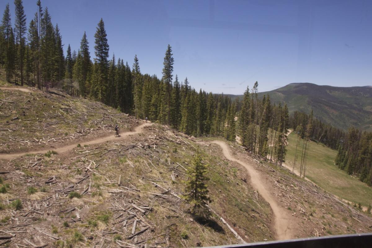A scenic view of a winding dirt path used for biking, surrounded by tall evergreen trees and a hillside with scattered logs from deforestation. In the background, green mountains extend beneath a clear blue sky. Two cyclists can be seen on the trail, enjoying the outdoors. Vail Mountain Bike Park mountain bike trail.