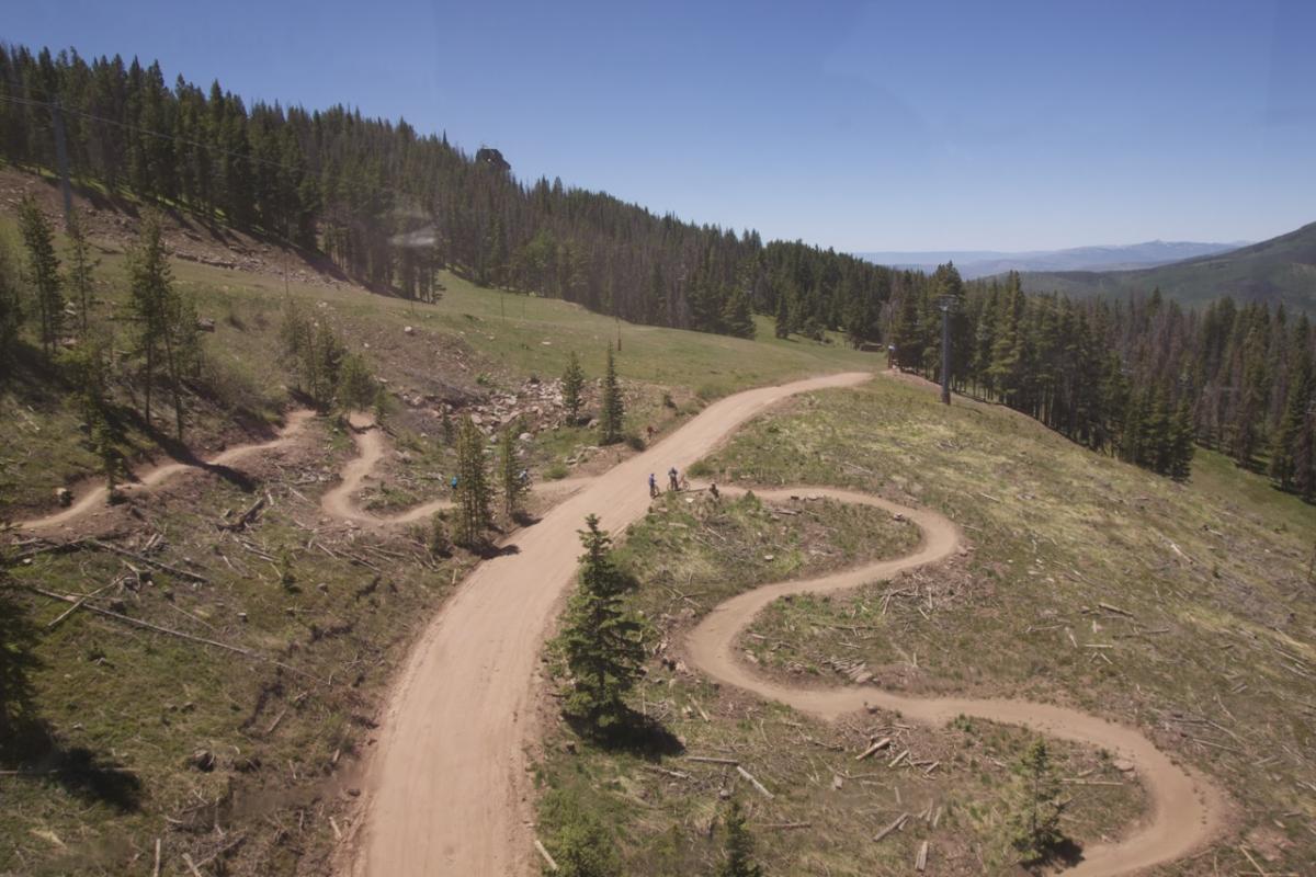 A winding dirt trail cuts through a mountainous landscape, surrounded by patches of green grass and tall evergreen trees. Clear blue skies are visible above, and a couple of hikers are seen walking along the path. The area appears to have recently cleared sections with visible tree stumps and logs scattered on the ground. Vail Mountain Bike Park mountain bike trail.