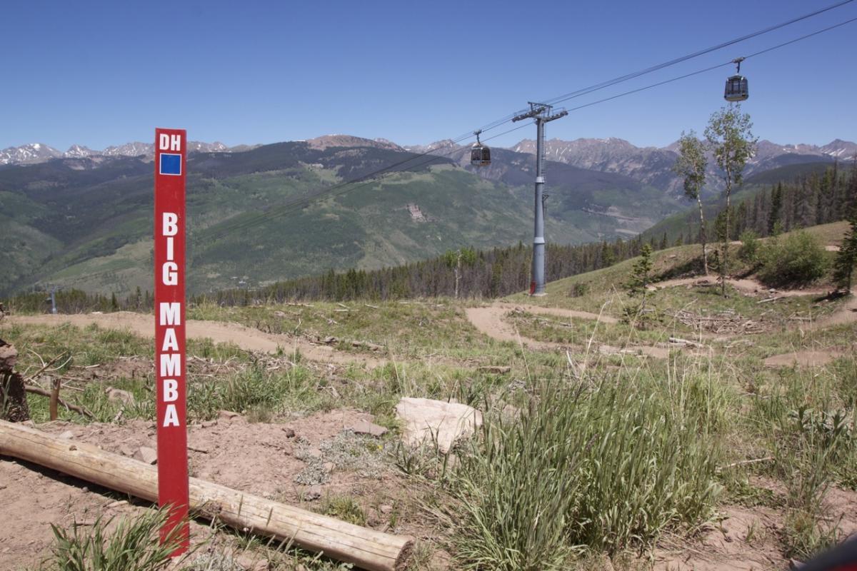 A mountain biking trail sign labeled "BIG MAMBA" in bold white letters on a red post, with scenic mountain views in the background. A ski lift can be seen in the distance, surrounded by lush greenery and blue skies. Vail Mountain Bike Park mountain bike trail.